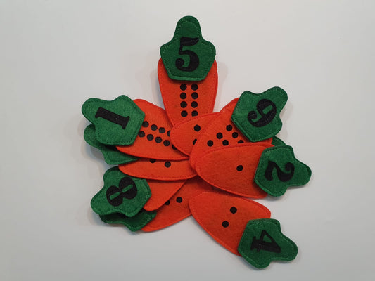 Carrot Stem Counting Activity
